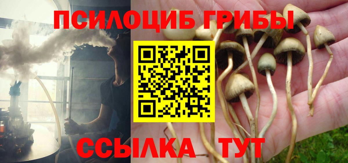Псилоцибиновые грибы ЛСД  Вход с VPN  купить  сайты  Осинники  Псилоцибиновые грибы ЛСД 